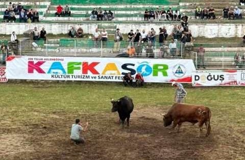 YILDIZLARDA 65 BOĞA GÜREŞTİ